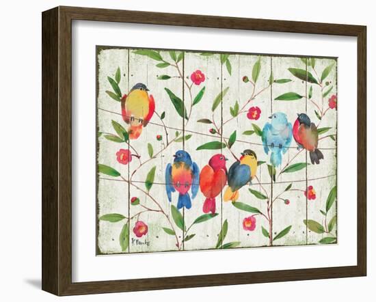 Perched Birds-Paul Brent-Framed Art Print