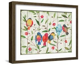 Perched Birds-Paul Brent-Framed Art Print