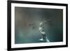 Perched Dragonfly-Jai Johnson-Framed Giclee Print