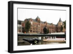 Perched I-Erin Berzel-Framed Photographic Print