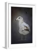 Perched Nearby Gull-Jai Johnson-Framed Giclee Print