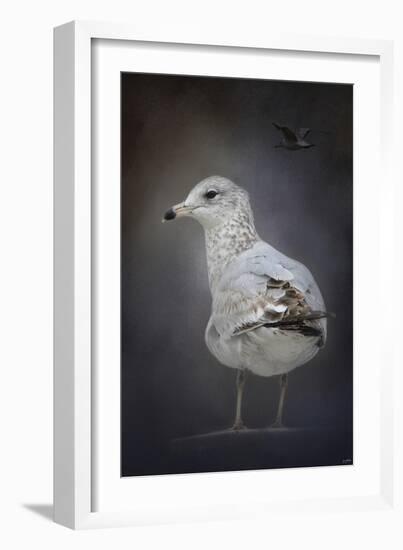 Perched Nearby Gull-Jai Johnson-Framed Giclee Print