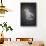 Perched Nearby Gull-Jai Johnson-Stretched Canvas displayed on a wall