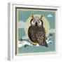 Perched Owl-Anna Polanski-Framed Art Print