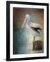 Perched Pelican-Jai Johnson-Framed Giclee Print