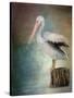 Perched Pelican-Jai Johnson-Stretched Canvas