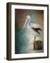 Perched Pelican-Jai Johnson-Framed Giclee Print