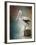 Perched Pelican-Jai Johnson-Framed Giclee Print