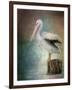 Perched Pelican-Jai Johnson-Framed Giclee Print