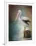 Perched Pelican-Jai Johnson-Framed Giclee Print