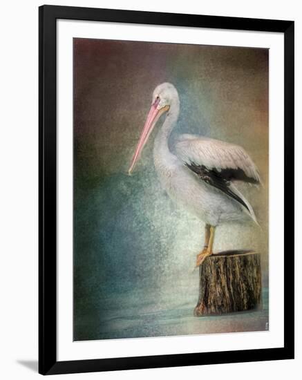 Perched Pelican-Jai Johnson-Framed Giclee Print