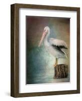 Perched Pelican-Jai Johnson-Framed Giclee Print