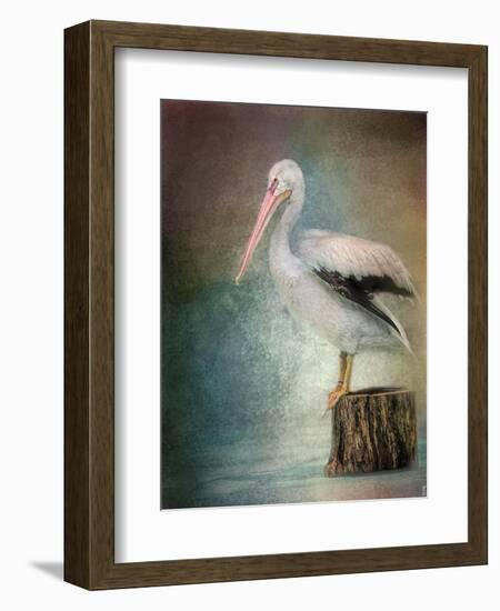 Perched Pelican-Jai Johnson-Framed Giclee Print