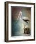 Perched Pelican-Jai Johnson-Framed Giclee Print