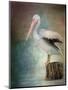 Perched Pelican-Jai Johnson-Mounted Giclee Print