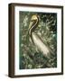 Perched Pelican-Stellar Design Studio-Framed Art Print