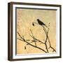 Perched-Andrew Michaels-Framed Art Print