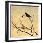 Perched-Andrew Michaels-Framed Art Print