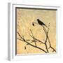 Perched-Andrew Michaels-Framed Art Print