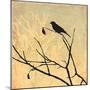 Perched-Andrew Michaels-Mounted Art Print