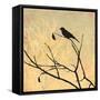 Perched-Andrew Michaels-Framed Stretched Canvas