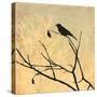 Perched-Andrew Michaels-Stretched Canvas