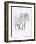 Percheron horses, two walking through snow. Alberta, Canada-Carol Walker-Framed Premium Photographic Print