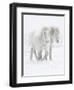 Percheron horses, two walking through snow. Alberta, Canada-Carol Walker-Framed Premium Photographic Print