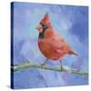 Perching Bird-Sarah Simpson-Stretched Canvas