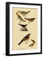 Perching Birds-John James Audubon-Framed Giclee Print