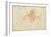 Perching in the Tree, 1889 (Red Chalk on Paper)-Berthe Morisot-Framed Giclee Print