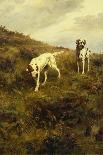 Two Setters Pointing at Quail-Percival L. Rosseau-Stretched Canvas