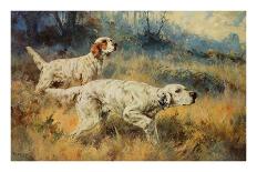 Two Setters Pointing at Quail-Percival L. Rosseau-Laminated Giclee Print