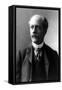 Percival Lowell, American Astronomer-Science Source-Framed Stretched Canvas