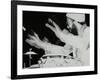 Percussionist Guilherme Franco Playing at the Newport Jazz Festival, Middlesbrough, 1978-Denis Williams-Framed Photographic Print