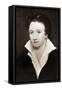 Percy Bysshe Shelley, English Romantic Poet, 19th Century-null-Framed Stretched Canvas