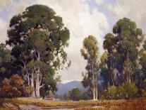 Oaks and Wildflowers-Percy Gray-Stretched Canvas