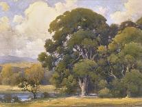 Oaks and Wildflowers-Percy Gray-Stretched Canvas
