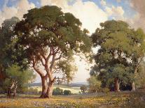 Eucalyptus-Percy Gray-Mounted Art Print