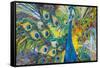 Percy Peacock I-Elizabeth St. Hilaire-Framed Stretched Canvas