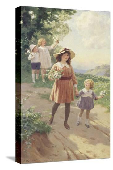 Stretched Canvas Print, , large