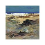 White Sands-Pere Camps-Laminated Giclee Print