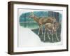 Pere DavidS Deer Elaphurus Davidianus with Young-null-Framed Giclee Print