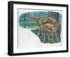 Pere DavidS Deer Elaphurus Davidianus with Young-null-Framed Giclee Print