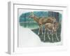 Pere DavidS Deer Elaphurus Davidianus with Young-null-Framed Giclee Print