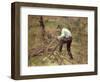 Pere Melon Sawing Wood, Pontoise, 1879-Camille Pissarro-Framed Giclee Print
