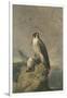 Peregrine and Teal-Archibald Thorburn-Framed Giclee Print