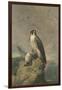 Peregrine and Teal-Archibald Thorburn-Framed Giclee Print