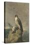 Peregrine and Teal-Archibald Thorburn-Stretched Canvas