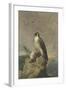 Peregrine and Teal-Archibald Thorburn-Framed Giclee Print